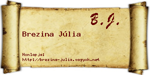 Brezina Júlia névjegykártya