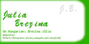 julia brezina business card